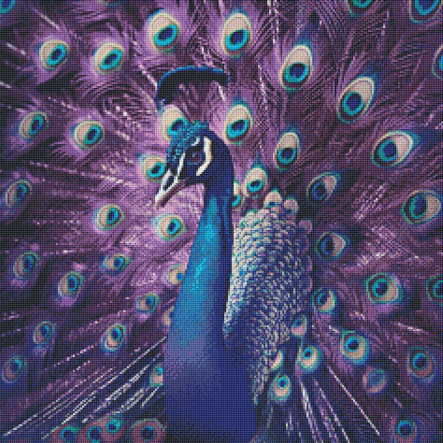 Violet Peacock by Turtle Designz