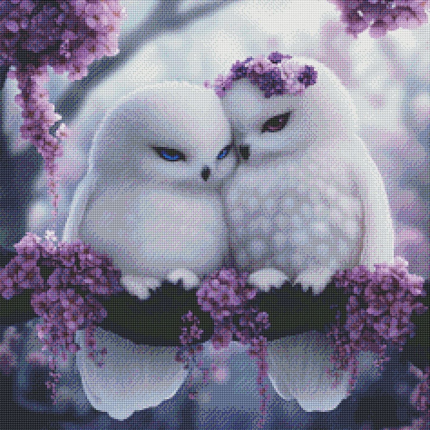 Albino Owls by Within Honestea