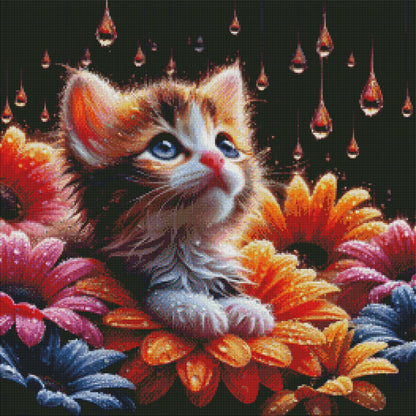 Whiskers In The Rainlight by M.E. Divine Arts