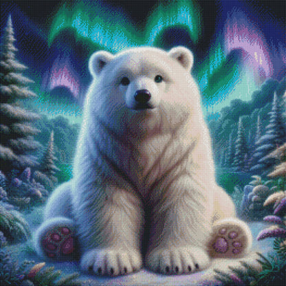 The Polar Dreamer by Theresa Raymer