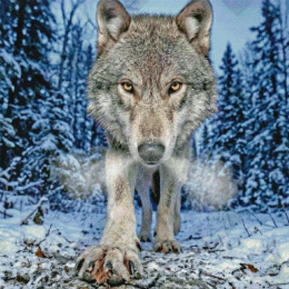 Winter's Silent Hunter by Stellar Designz (Starting At 90 Colors)